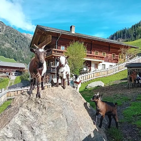 Egger * Innervillgraten