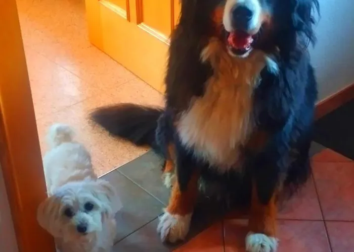 Egger Innervillgraten