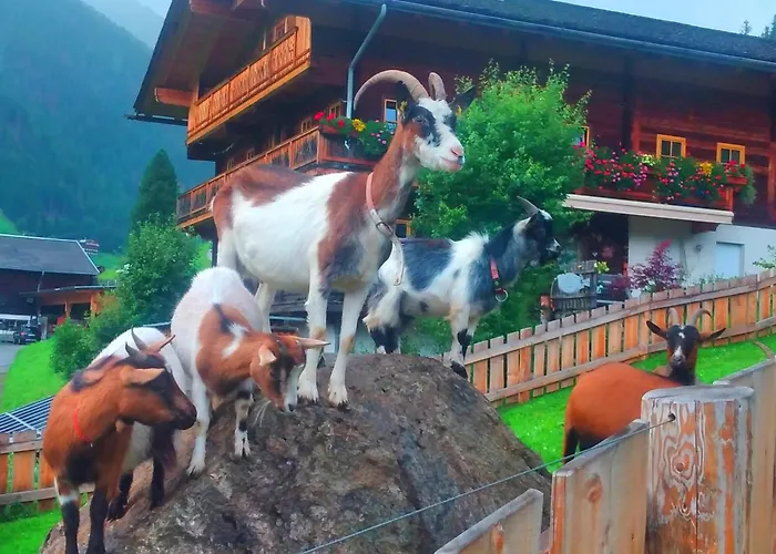 Egger Tatil Evi Innervillgraten