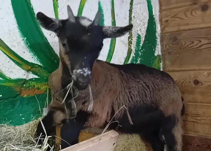 Egger Innervillgraten